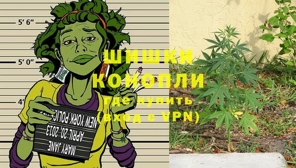 индика Верхнеуральск