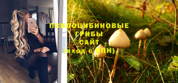 герыч Верхний Тагил